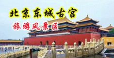 操插上黑丝中国北京-东城古宫旅游风景区